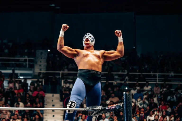 Wrestling Review: What It Is, Features, Safety, and Alternatives